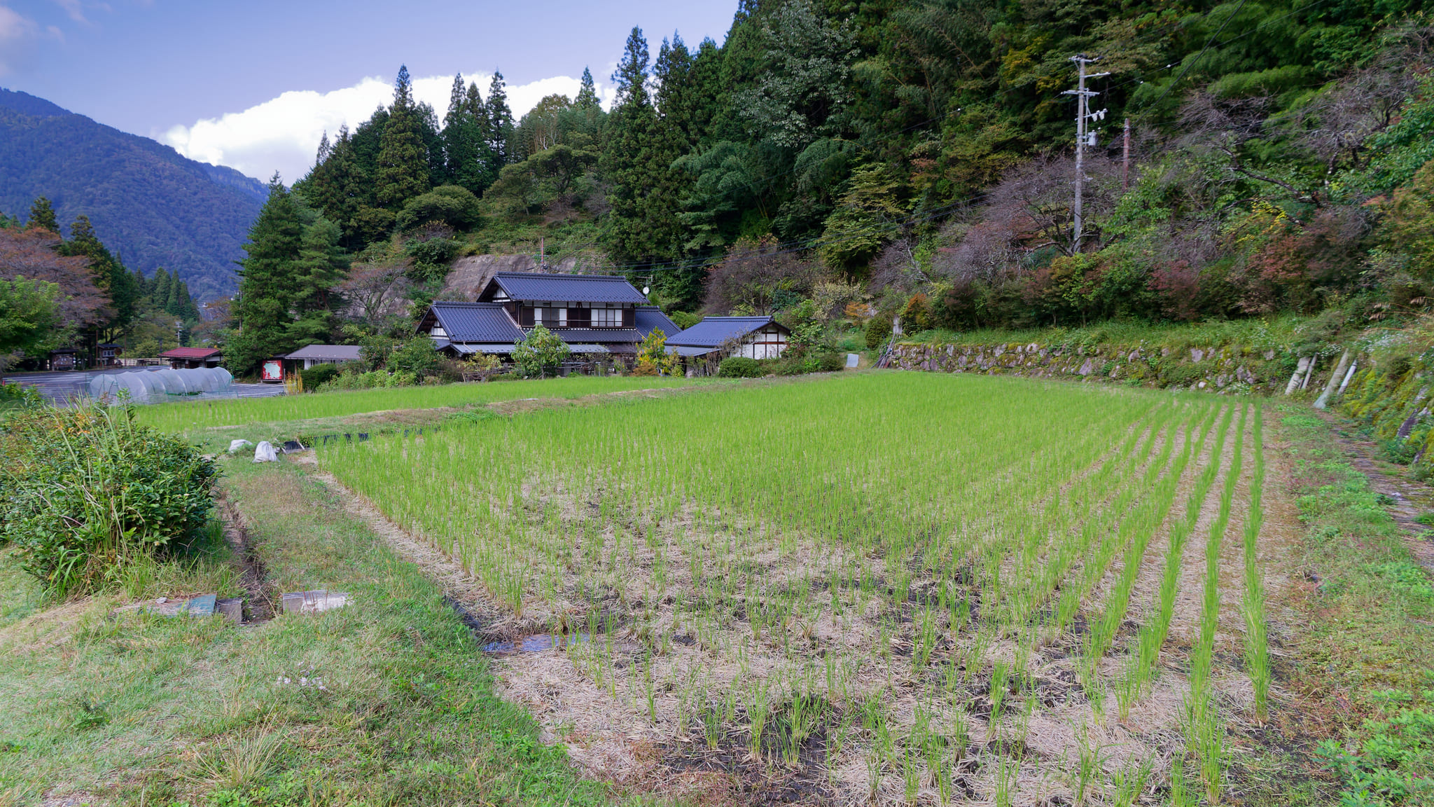 07-Tsumago Magome (20).jpg